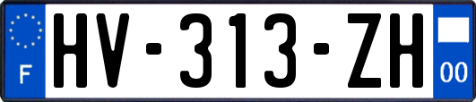 HV-313-ZH