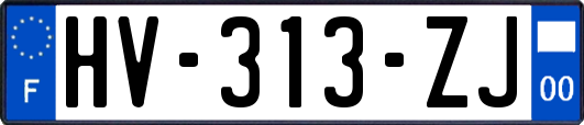 HV-313-ZJ