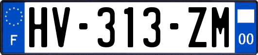 HV-313-ZM