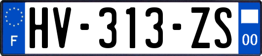 HV-313-ZS