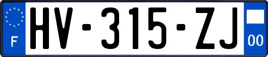 HV-315-ZJ