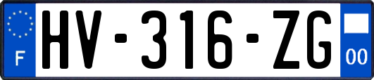 HV-316-ZG