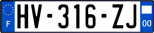 HV-316-ZJ