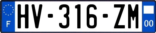 HV-316-ZM