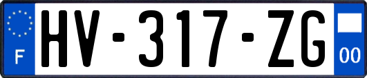 HV-317-ZG