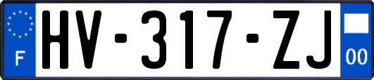 HV-317-ZJ