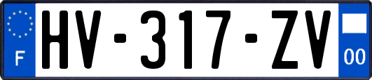 HV-317-ZV