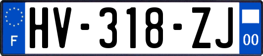 HV-318-ZJ