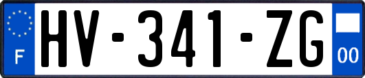 HV-341-ZG