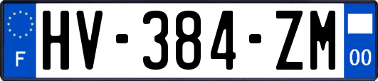 HV-384-ZM