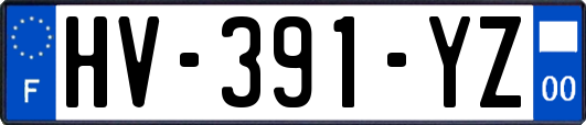 HV-391-YZ