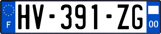 HV-391-ZG