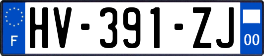 HV-391-ZJ