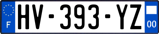 HV-393-YZ