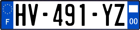 HV-491-YZ