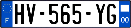 HV-565-YG