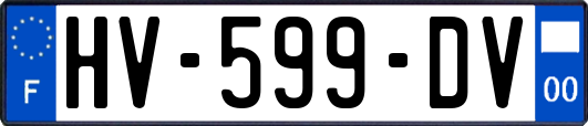 HV-599-DV