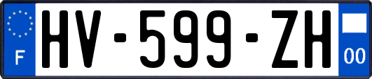 HV-599-ZH