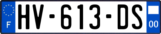 HV-613-DS