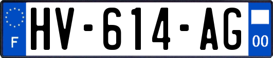 HV-614-AG