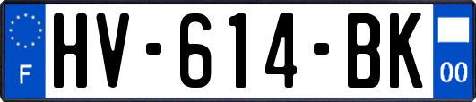 HV-614-BK