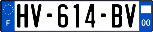 HV-614-BV