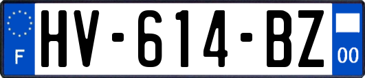 HV-614-BZ