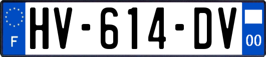 HV-614-DV