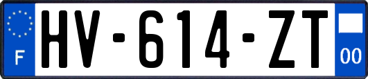 HV-614-ZT