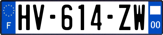 HV-614-ZW
