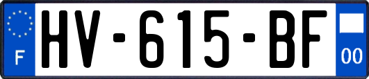 HV-615-BF