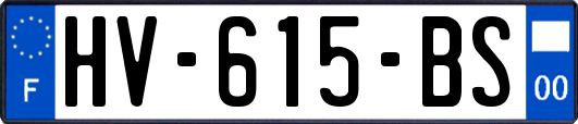 HV-615-BS