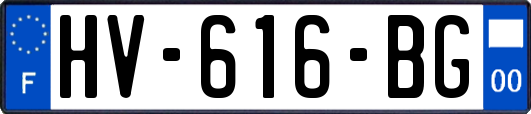 HV-616-BG
