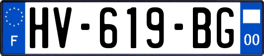 HV-619-BG