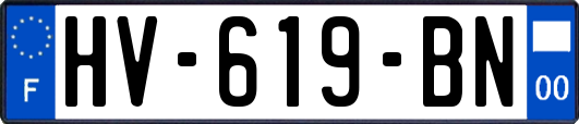 HV-619-BN
