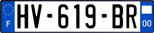 HV-619-BR
