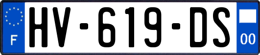HV-619-DS