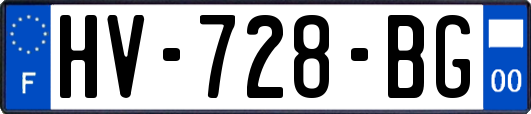 HV-728-BG