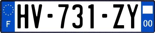 HV-731-ZY