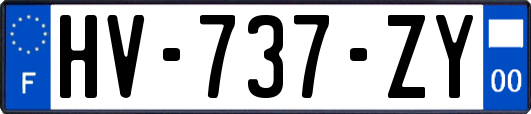 HV-737-ZY