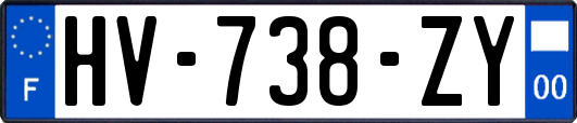 HV-738-ZY