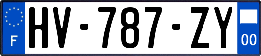 HV-787-ZY