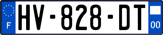 HV-828-DT