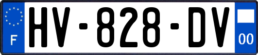 HV-828-DV