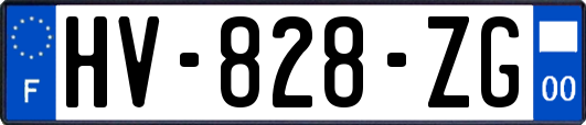 HV-828-ZG