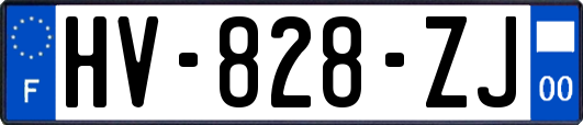 HV-828-ZJ