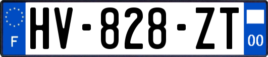 HV-828-ZT