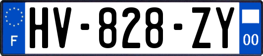 HV-828-ZY