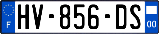 HV-856-DS