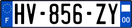 HV-856-ZY